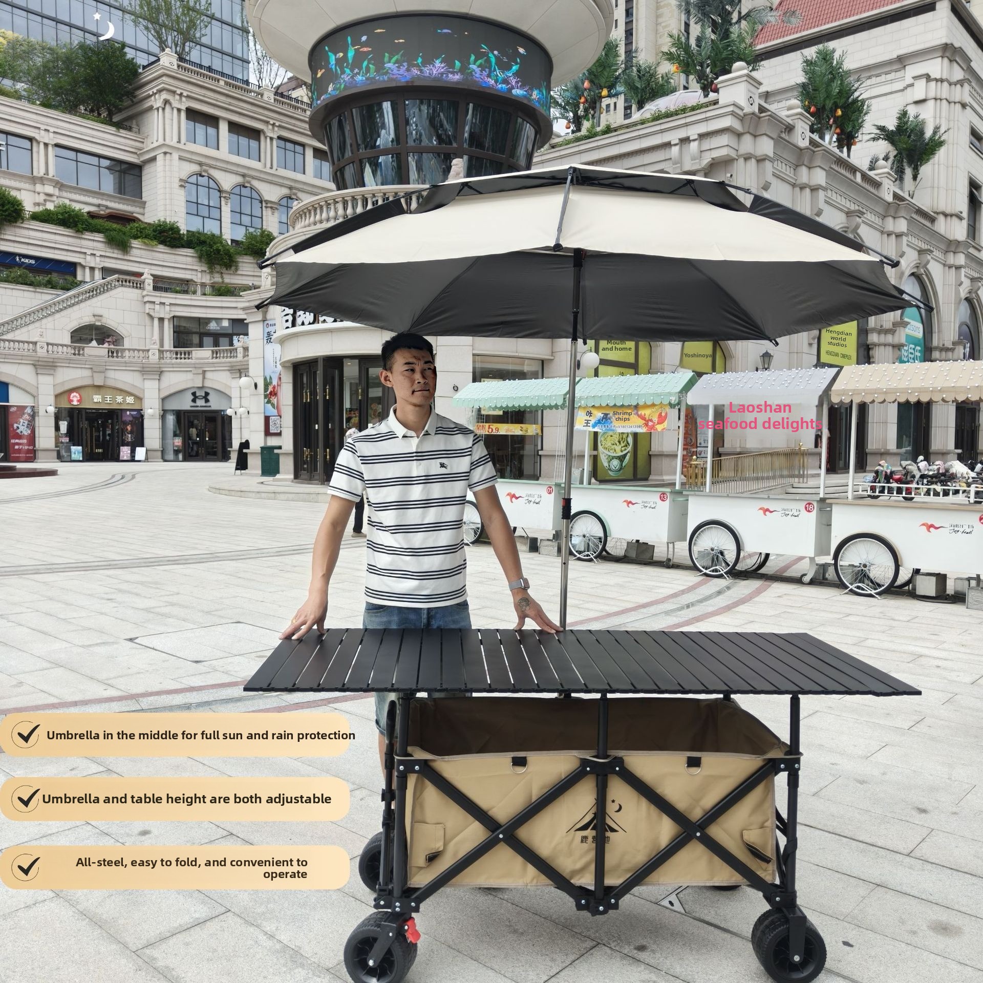 Car folding camping Lifting ta - Pull Cart Fold 评论和价格