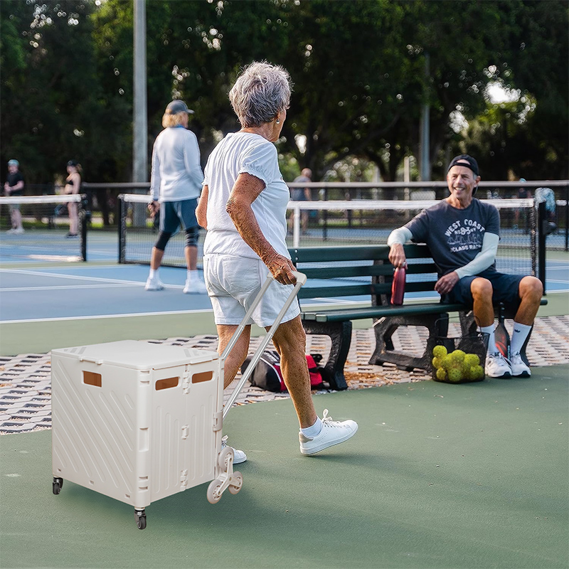 Lightweight Brushed Trolley Lu - Pull Cart Fold 评论和价格