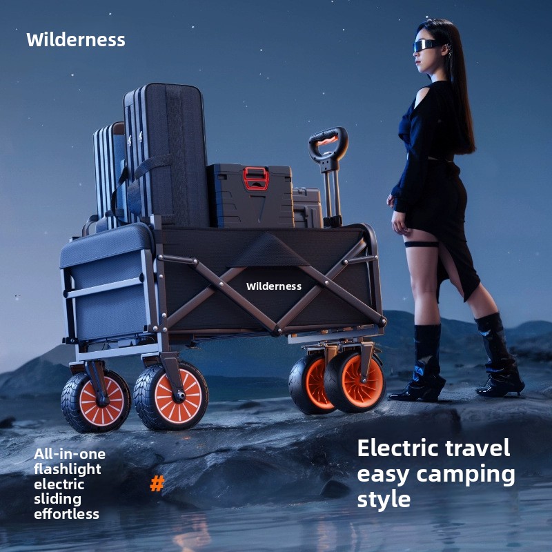 Electric Camper Outdoor Campin - Pull Cart Fold 评论和价格