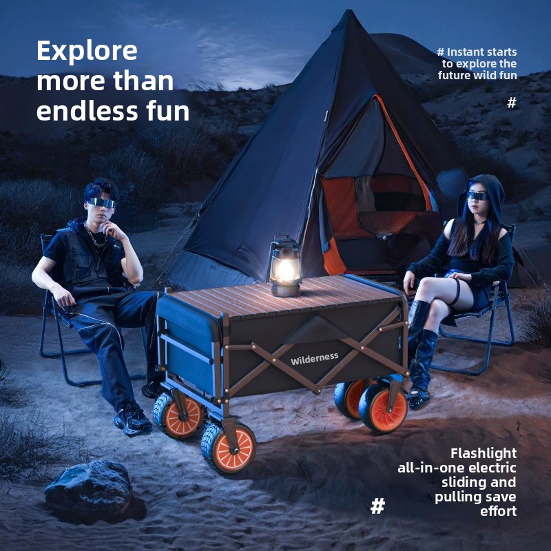 Electric Camper Outdoor Campin - Pull Cart Fold 评论和价格